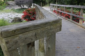 Bridge_Railing_focus_stack